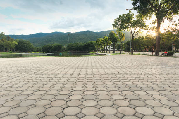 Best Concrete Driveway Paving in USA